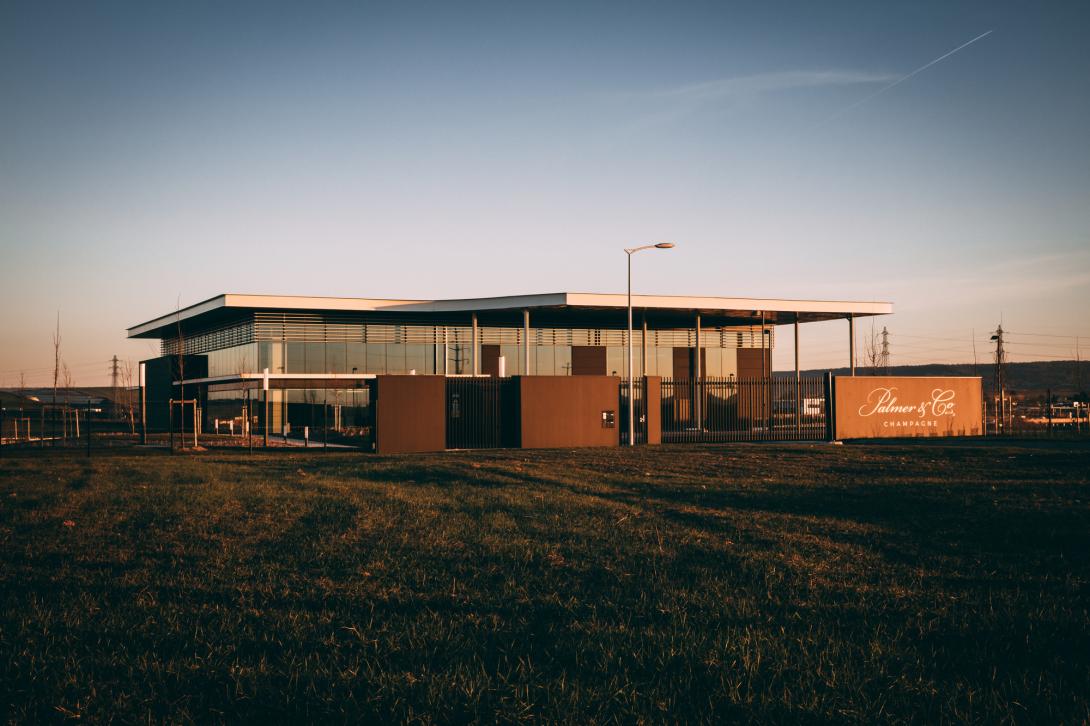 CHAMPAGNE PALMER