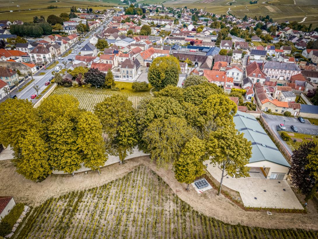 CHAMPAGNE JACQUESSON